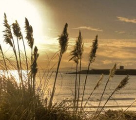 Coastal evening light