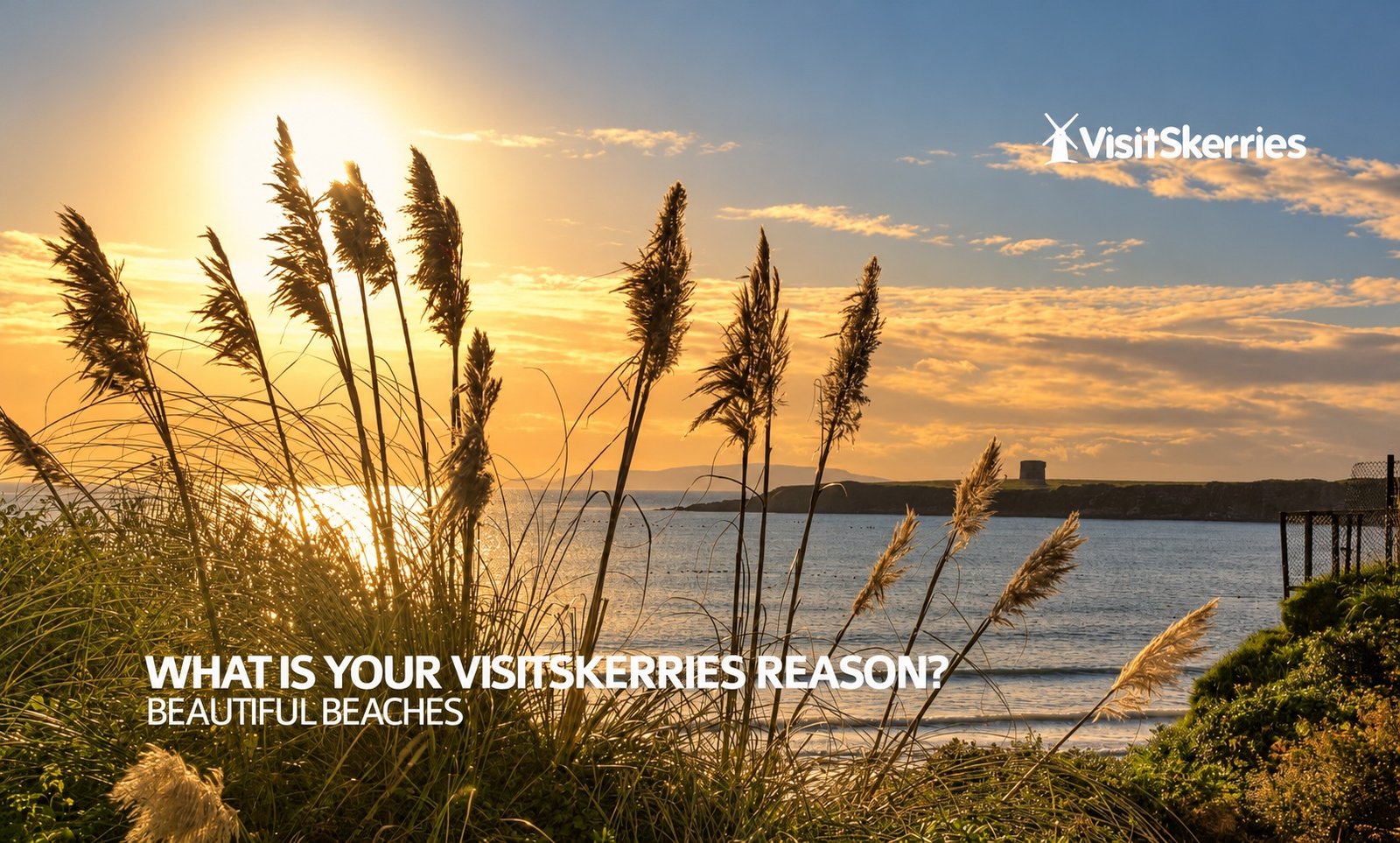 Golden evening light through coastal grasses, with the island’s Martello tower visible across the sea in Skerries