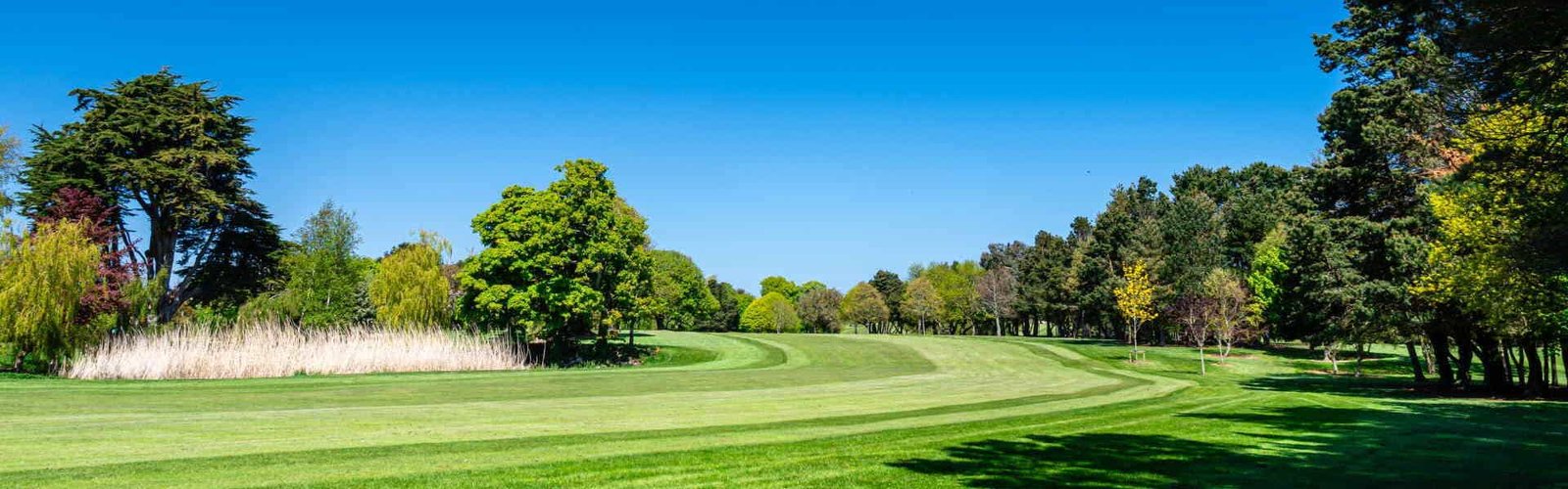 The tree-lined eighth fairway at Skerries Golf Club under a clear blue sky